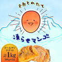 【ふるさと納税】完熟 とれたて 凍らせ マンゴー ゴールデンナゲット 500g × 2 冷凍 液体凍結機 凍眠 急速冷凍 食品 果物 フルーツ スイーツ デザート にしだ農園 鹿児島県 知名町 お取り寄せ 送料無料