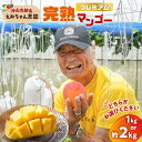 【ふるさと納税】【2025年先行予約】<選べる> プレミアム 完熟マンゴー 1kg or 2kg 大玉 2個 or 4個 えみちゃん農園 マンゴー フルーツ 果...