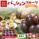 【ふるさと納税】【2026年先行予約】 訳あり パッションフルーツ 1kg 12個 えみちゃん農園 わけあり 規格外 パッション フルーツ 果物 果実 予約 数...