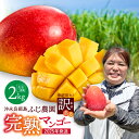 【ふるさと納税】【2026年先行予約】 訳あり 完熟マンゴー2kg おいしさそのまま! ふじ農園 わけあり 規格外 マンゴー 果物 フルーツ 果実 先行予約 数...