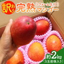 【ふるさと納税】【2025年先行予約】 完熟マンゴー 訳あり 2kg ファーム白川 わけあり 限定 規格外 果物 フルーツ マンゴー 完熟 食べごろ 期間 数量...