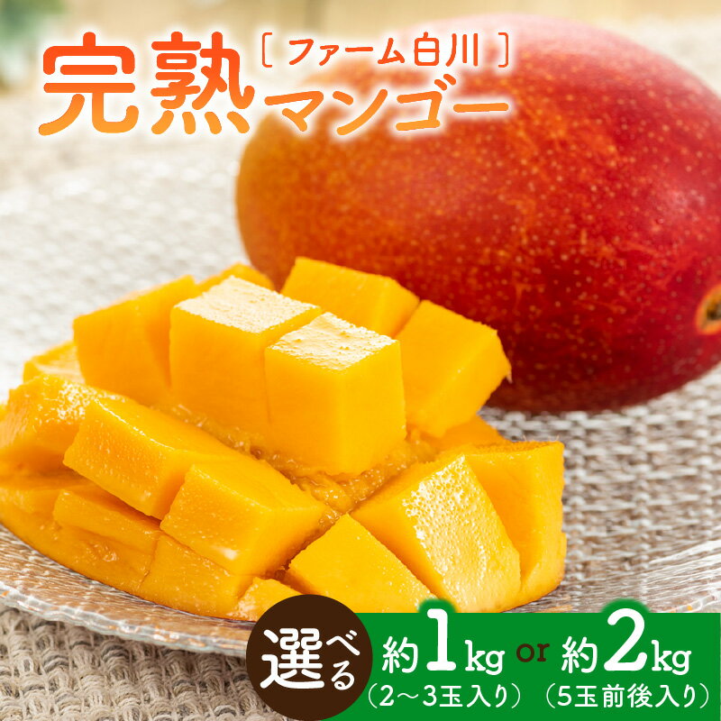 【ふるさと納税】【2026年先行予約】<選べる> 完熟マンゴー 1kg or 2kg ファーム白川 果物 フルーツ マンゴー 完熟 食べごろ 期間 数量 限定 先行予約 南国 果実 ふるさと納税 鹿児島 知名町 沖永良部 おすすめ ランキング プレゼント ギフト