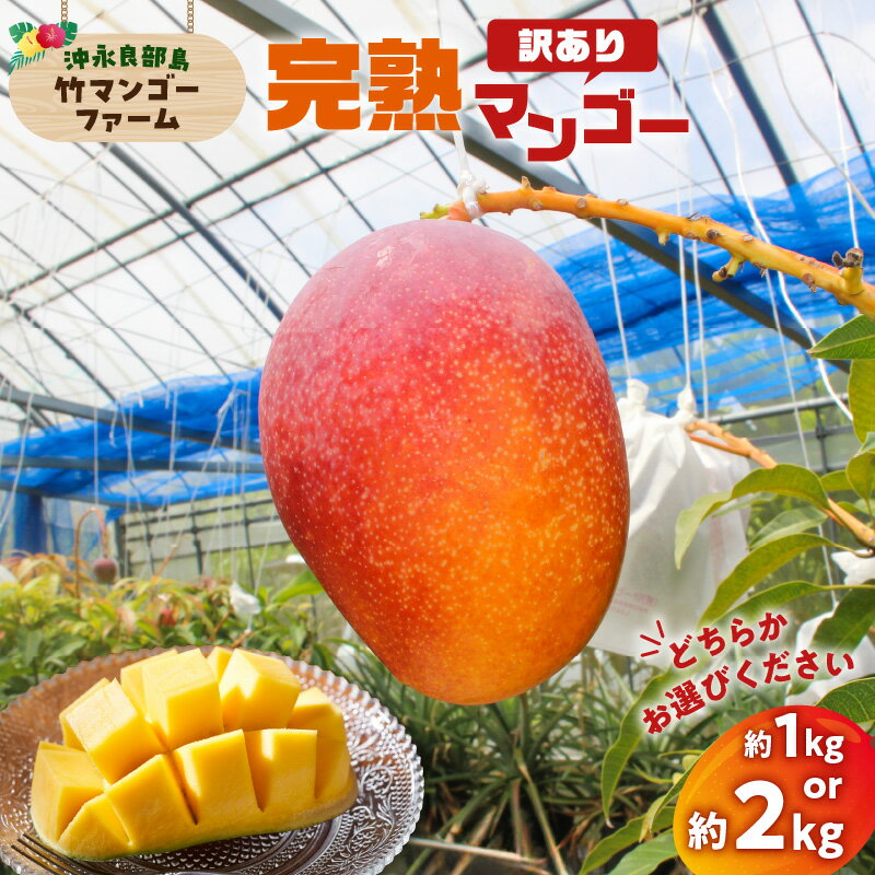 【ふるさと納税】【2026年先行予約】<選べる> 訳あり 完熟マンゴー 1kg or 2kg 家庭用 わけあり 規格外 竹マンゴーファーム マンゴー フルーツ 果物 果実 予約 数量 期間 限定 完熟 南国 無加温 甘い 自宅用 鹿児島 知名町 沖永良部 おすすめ ランキング プレゼント ギフト