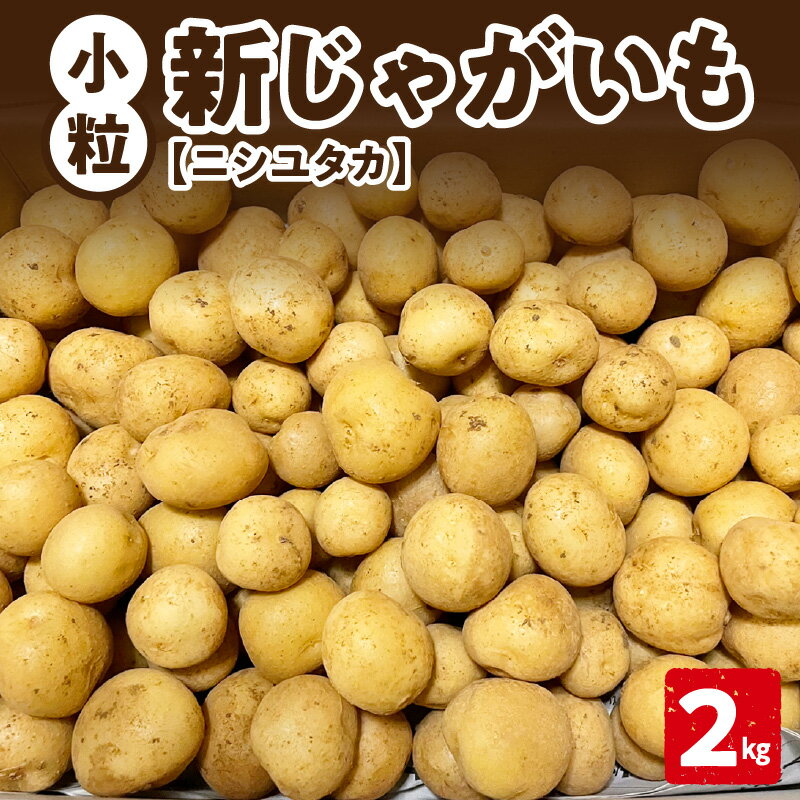 [2026年先行予約] 新じゃがいも ニシユタカ 小粒 2kg 3月お届け じゃがいも 新じゃが 芋 ポテト 野菜 根菜 ミネラル 赤土 皮ごと 素揚げ 料理 調理 先行受付 美味しい 新鮮 穐田農園 知名町 おすすめ ランキング プレゼント