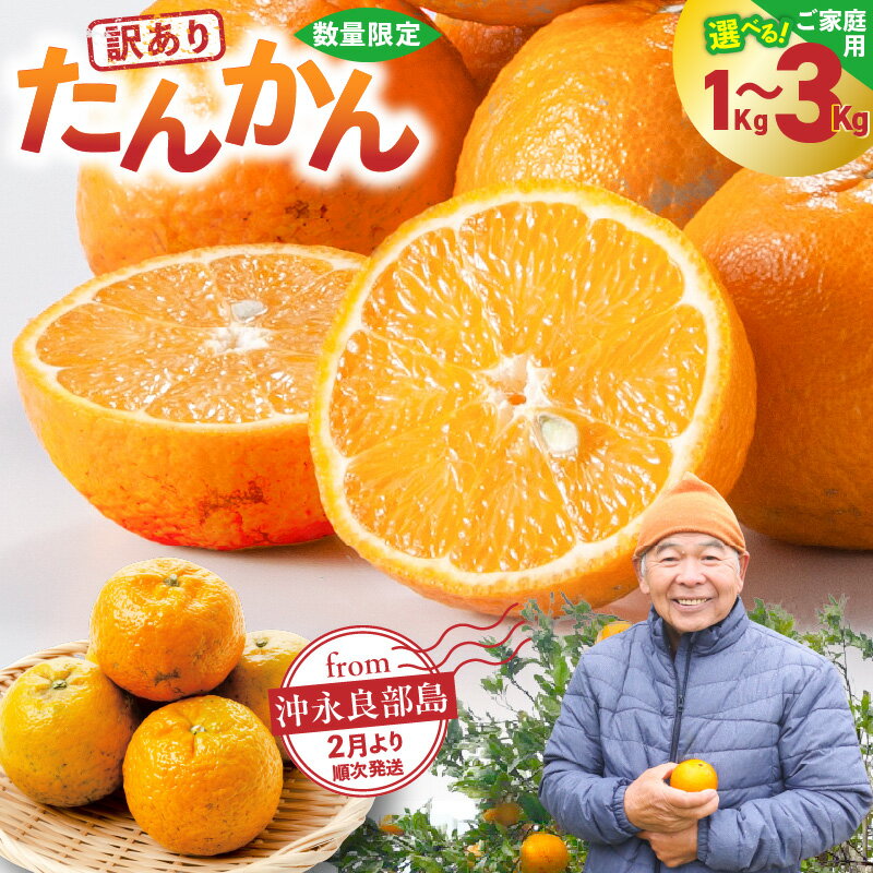 【ふるさと納税】【2026年先行予約】<選べる容量> ご家庭用 訳あり たんかん 1kg ~ 3kg 2月より順次発送 自宅用 みかん オレンジ 柑橘 果物 フルーツ 南国 完熟 ジュース ジャム 期間 数量 限定 健康学農園 沖永良部 鹿児島 知名町 おすすめ ランキング プレゼント ギフト
