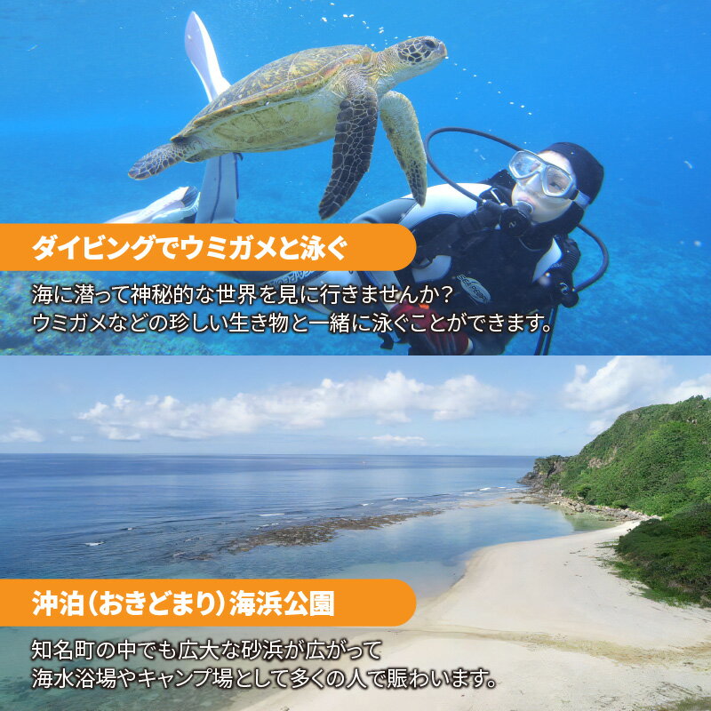 【ふるさと納税】鹿児島県知名町の対象施設で使える楽天トラベルクーポン 寄付額50,000円 ホテル 旅館 宿泊予約 予約 宿泊 連泊 観光 国内 旅行クーポン 宿泊券 チケット ビジネス 出張 洋室 和室 国内旅行その2