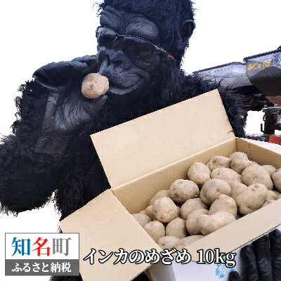インカのめざめ 新じゃが(沖永良部島産)