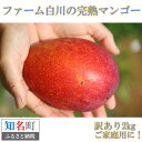 【ふるさと納税】32-01 ファーム白川の完熟マンゴー 訳あ...