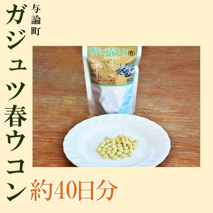 ガジュツ春ウコン(粒)1袋 (約40日分) | ウコン 粒 春ウコン 健康食品 健康 おすすめ 人気 送料無料 鹿児島 与論島 ヨロン