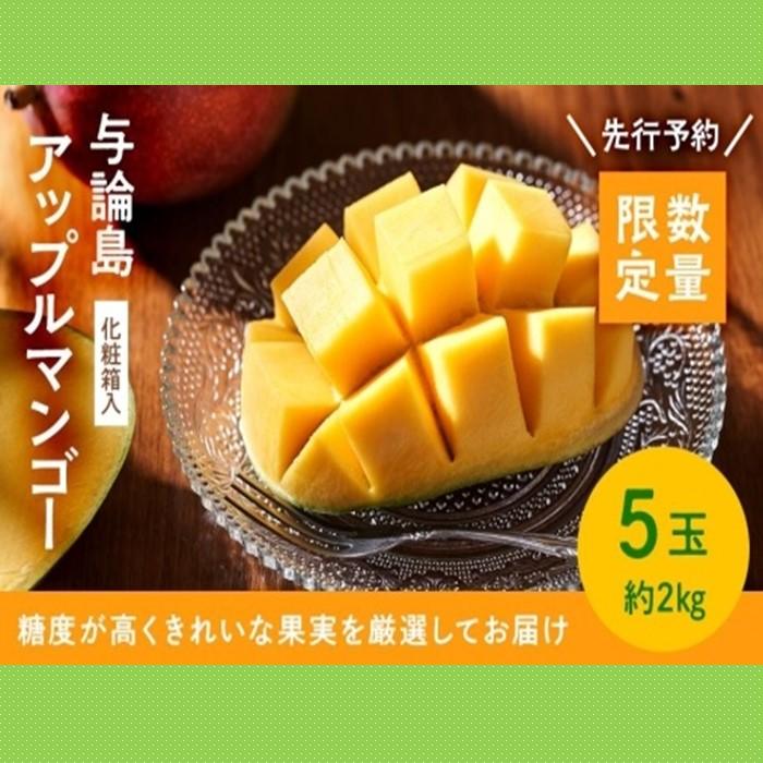 【ふるさと納税】【数量限定】鹿児島 与論島アップルマンゴー特A秀品約2kg 5玉化粧箱入り【先行予約】 | 果物 アップルマンゴー アーウイン マンゴー フルーツ ご当地 グルメ 人気 おすすめ 送料無料 与論 与論島 ヨロン 鹿児島県 九州