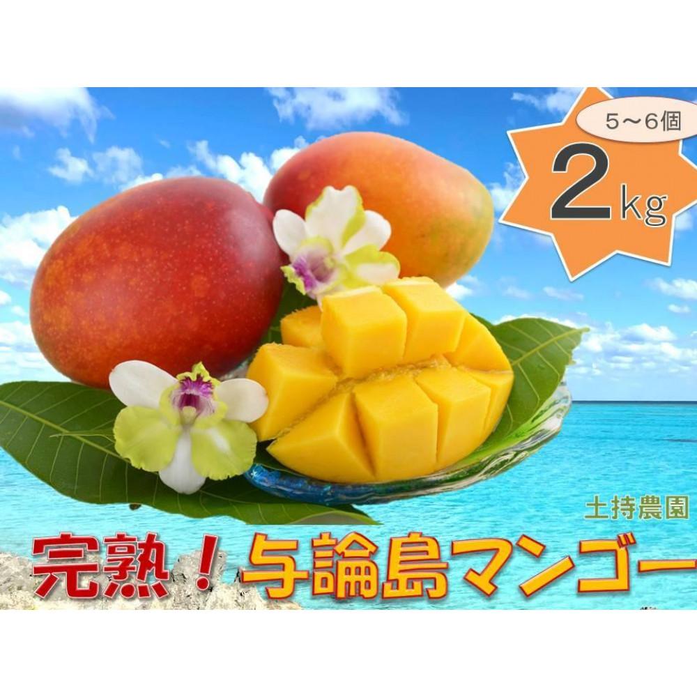【ふるさと納税】「2025夏発送」★厳選★ 完熟 与論島マンゴー 2kg(5~6個)【数量限定】【産地直送】【先行予約】 | フルーツ 果物 くだもの 食品 人気 おすすめ 送料無料