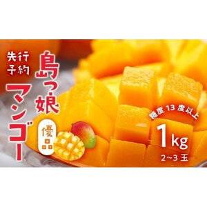 【ふるさと納税】ヨロン島産　島っ娘マンゴー（優品）1kg2〜3玉　糖度13度以上【先行予約】 | ふるさと 納税 支援 鹿児島 鹿児島県 与論島 与論町 与論 マンゴー まんごー 果物 くだもの 旬 フルーツ お取り寄せグルメ お取り寄せ お土産 返礼品 特産品