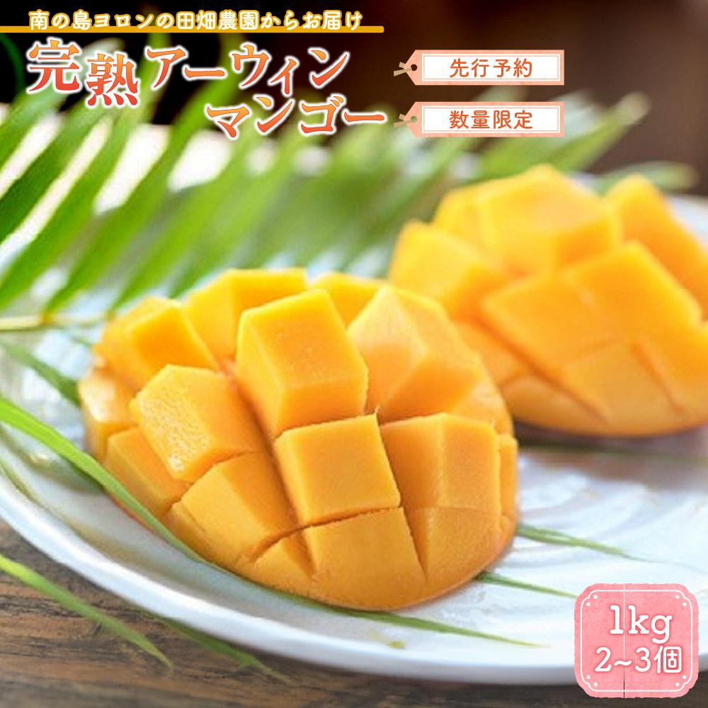 【ふるさと納税】≪2025年発送≫ 先行予約 完熟 アーウィンマンゴー 1.0kg ( 2~3個 ) 数量限定 与論島 田畑農園 | マンゴー 完熟マンゴー 1kg 1キロ フルーツ 果物 くだもの 食品 人気 おすすめ ご当地 送料無料 限定 鹿児島県 与論町 2025年7月上旬以降発送