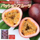 【ふるさと納税】与論島産パッションフルーツ 奄美のジャンボウ8玉〜12玉(約2kg前後)【先行予約:2025年6月中旬以降発送】 | フルーツ 果物 くだもの ...