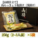 【ふるさと納税】【山将仕立】島らっきょう 塩漬(浅漬) 5袋セット | 食品 加工食品 人気 おすすめ 送料無料
