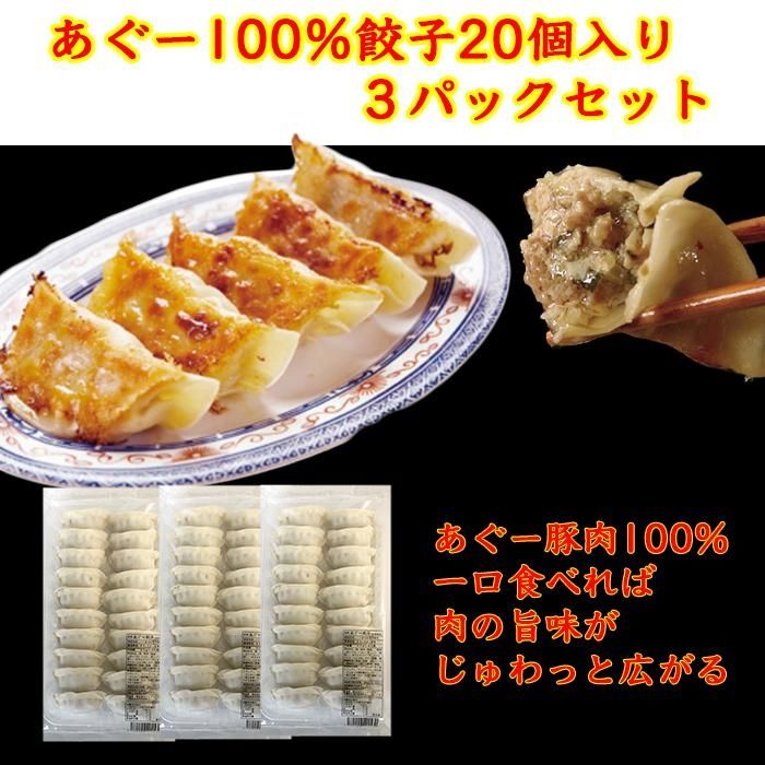 【ふるさと納税】沖縄そばセット&あぐー100％餃子（2パック