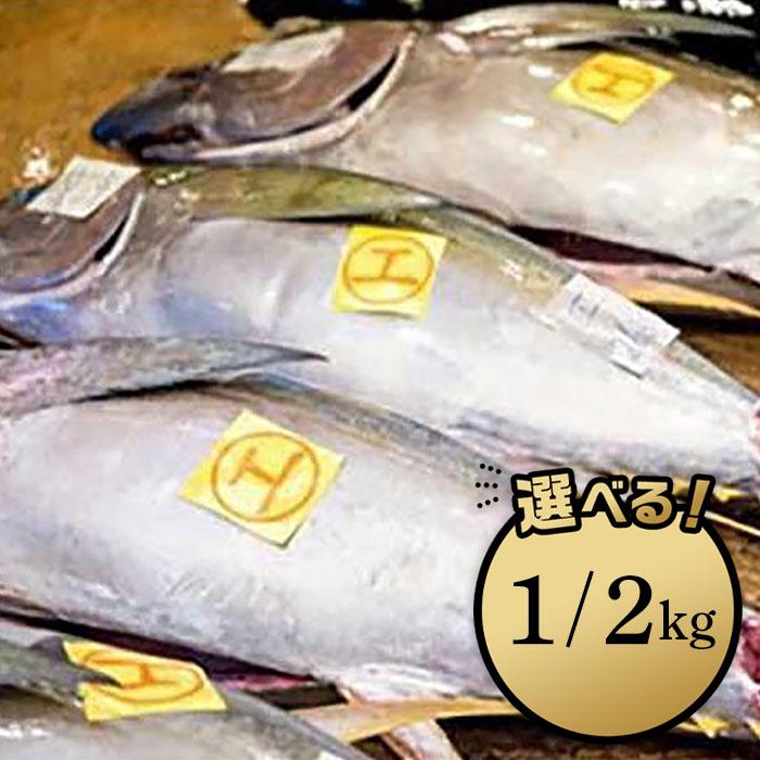 【ふるさと納税】【泊漁港直送】 沖縄美ら海まぐろ「1kg」or「2kg」 | 沖縄 那覇 沖縄県 那覇市 ふるさと 納税 支援 支援品 返礼品 返礼 お礼の品 楽天ふるさと 沖縄土産 沖縄お土産 お土産 おみやげ 取り寄せ お取り寄せ グルメ お取り寄せグルメ