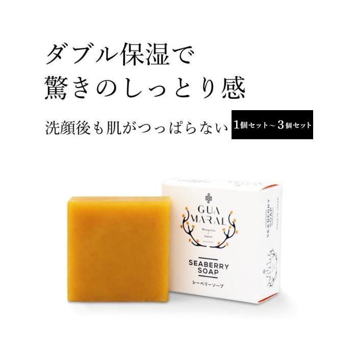 1位! 口コミ数「0件」評価「0」グアマラルシーベリーソープ 100g 「1個」～「3個」セット サジー石鹸 | せっけん 石けん 固形石鹸 乾燥肌 敏感肌 洗顔 ボディーソ･･･ 