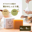 【ふるさと納税】グアマラルシーベリーソープ 100g 「4個」or「8個」セット サジー 沙棘石鹸