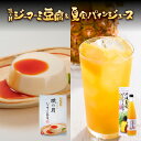 【ふるさと納税】琉の月ジーマーミ豆腐&夏実パインジュース | 沖縄 那覇市 豆腐 発酵 大豆 人気 琉球 伝統料理 ジーマーミ豆腐|詳細画像