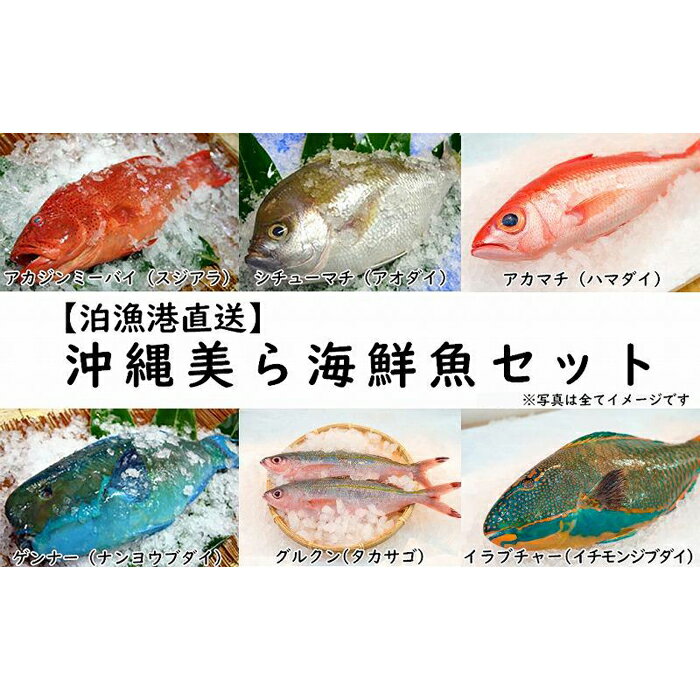 [泊漁港直送] 沖縄美ら海鮮魚セット | 沖縄 那覇 沖縄県 那覇市 ふるさと 納税 支援 支援品 返礼品 返礼 お礼の品 楽天ふるさと 沖縄土産 沖縄お土産 お土産 おみやげ 取り寄せ お取り寄せ グルメ お取り寄せグルメ ご当地 ご当地グルメ 緊急支援