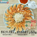 【ふるさと納税】かめかめ島餃子【人気の売れ筋セット】餃子60個 香るとりしそ餃子(若鶏・にんにくなし) かめかめ餃子(豚肉・にんにくあり) | 包みたて 工場直売 餃子 シママース やんばる若鶏 | 簡単調理 手軽 | 豚肉 鶏肉 出汁 しそ 沖縄 お取り寄せ グルメ