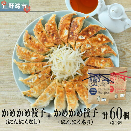【ふるさと納税】かめかめ島餃子 (豚肉/にんにくあり・なし) 30個 × 2袋 | 包みたて 工場直売 餃子 シママース | 簡単調理 手軽 | 豚肉 出汁 沖縄 お取り寄せ グルメ 冷凍 【ふるさと納税】かめかめ島餃子 (豚肉/にんにくあり・なし) 30個 × 2袋 | 包みたて 工場直売 餃子 シママース | 簡単調理 手軽 | 豚肉 出汁 沖縄 お取り寄せ グルメ 冷凍