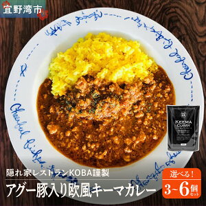 【ふるさと納税】【宜野湾市特産品推奨】アグー豚入りキーマカレー 3〜6パック入 隠れ家レストランKOBAがお届け | カレー アグー豚 スパイス 沖縄県 キーマカレー