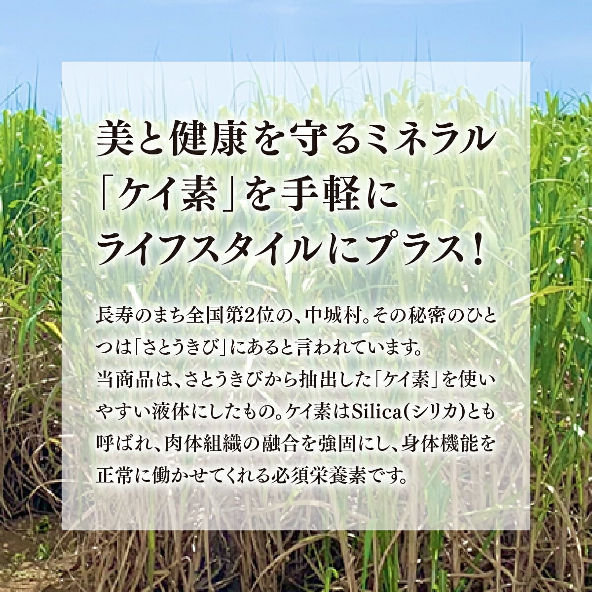 【ふるさと納税】シュガーケイソ 30ml | 沖縄県産 さとうきび由来(ケイ素高含有) | SiR株式会社 |日本製 国産 さとうきび サプリメント 植物性 | 沖縄 宜野湾市 送料無料