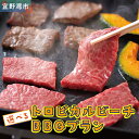 【ふるさと納税】トロピカルビーチ 選べる BBQプラン ペア 2名 4名 8名 ご利用券 | はごろもPMパートナーズ | 旅行 沖縄 宜野湾 ぎのわん | 家...