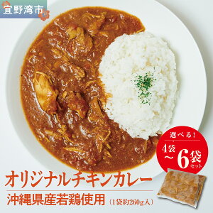 【ふるさと納税】沖縄県産若鶏使用 オリジナルチキンカレー (1袋 約260g) 選べる 4袋セット 6袋セット | とりの丸焼こけこっこハウス | トマトベース オリジナル スパイス お肉たっぷり にんにくたっぷり 辛さ控え目 ヘルシー | 沖縄県 宜野湾市 | 冷凍 送料無料