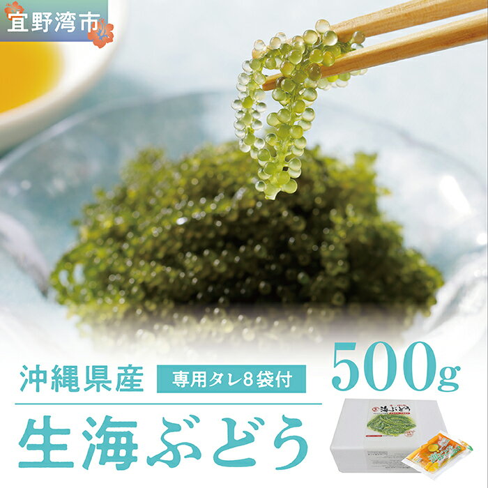 【ふるさと納税】沖縄県産 生海ぶどう 500g