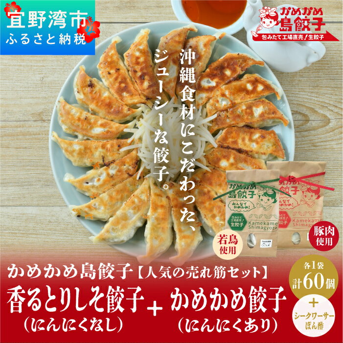 かめかめ島餃子の【人気の売れ筋セット】餃子60個+シークワーサーぽん酢