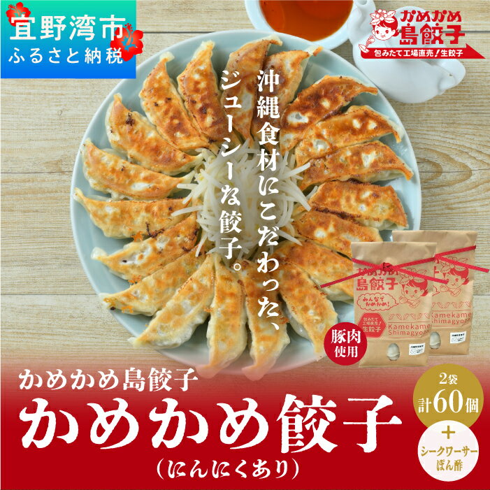 6位! 口コミ数「0件」評価「0」餃子 冷凍 かめかめ島餃子 （豚肉・にんにくあり）（ 30個 × 2袋 ）