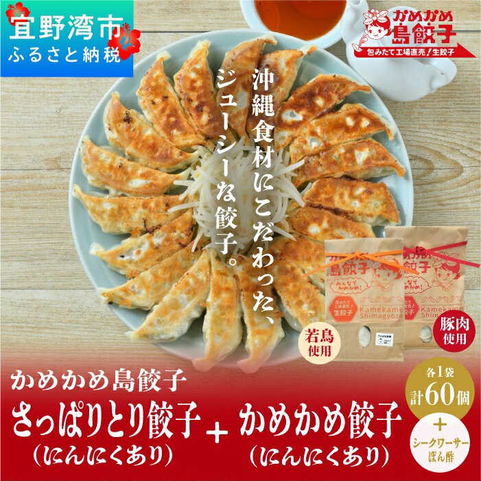 餃子 冷凍 かめかめ島餃子(豚肉・やんばる若鶏/にんにくあり)( 30個 × 2袋 )