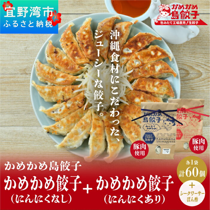 4位! 口コミ数「0件」評価「0」餃子 冷凍 かめかめ島餃子（豚肉/にんにくあり・なし）（ 30個 × 2袋 ）