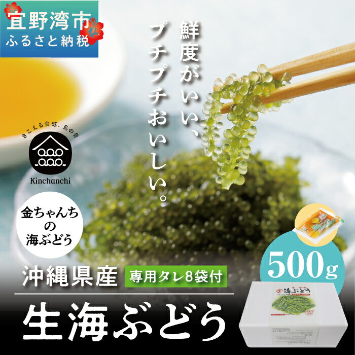 3位! 口コミ数「1件」評価「5」【沖縄県産】生海ぶどう　500g