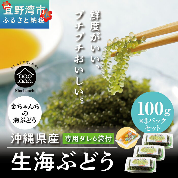 【ふるさと納税】沖縄県産　生海ぶどう　100g×3パックセットのサムネイル