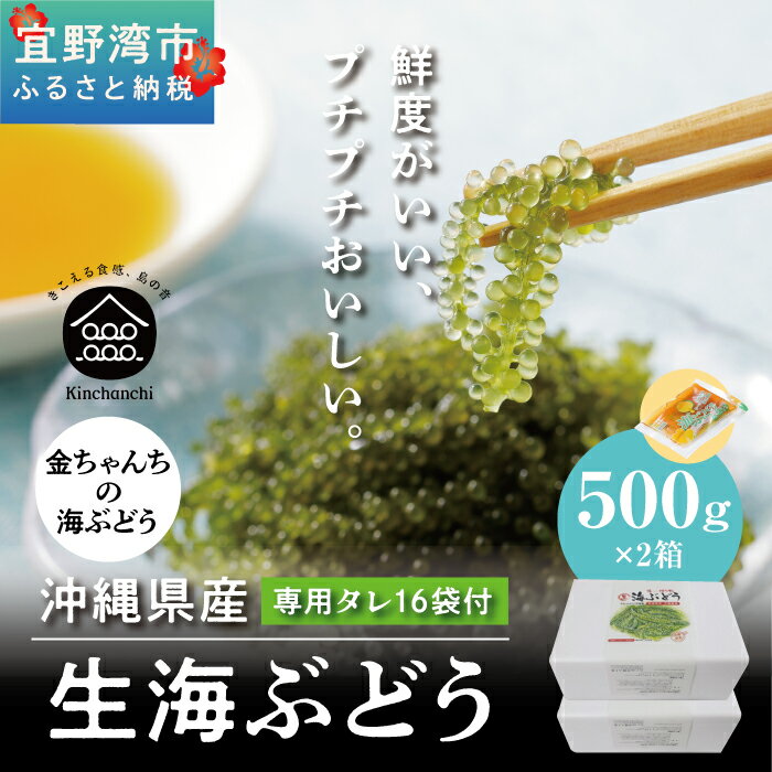 【ふるさと納税】【沖縄県産】生海ぶどう　1kg（500g×2箱）