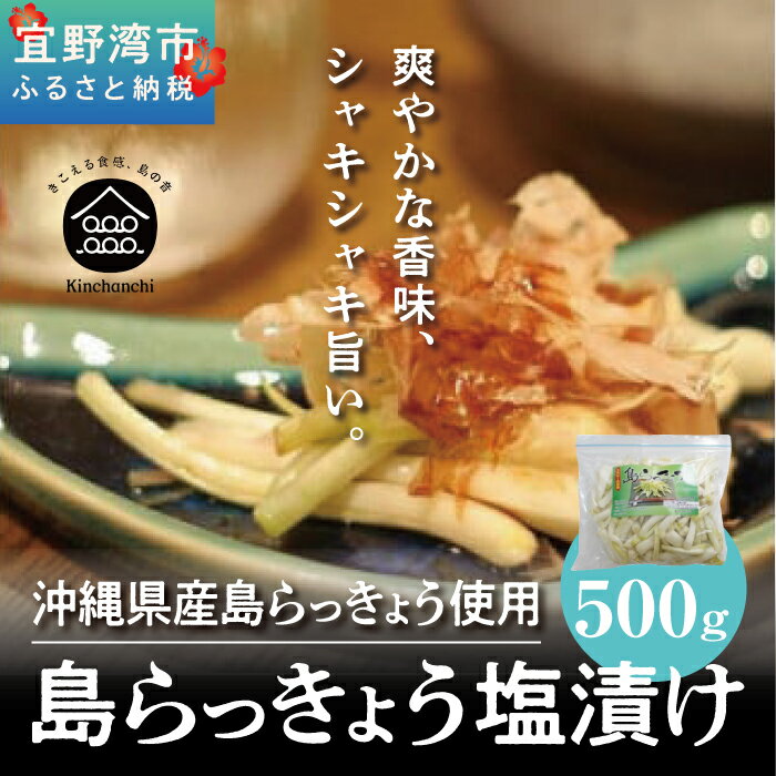 島らっきょう塩漬け500g