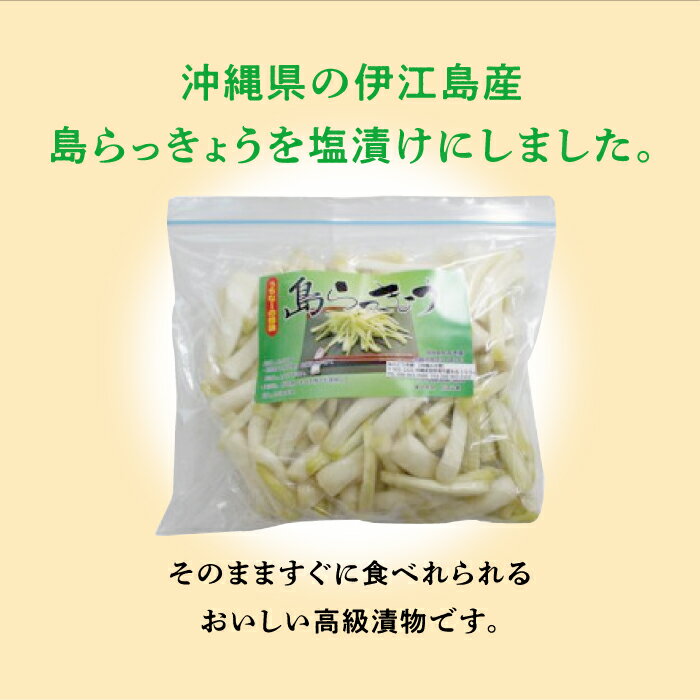 【ふるさと納税】島らっきょう塩漬け500g