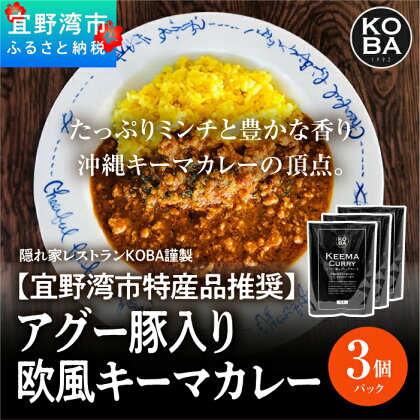 【宜野湾市特産品推奨】アグー豚入りキーマカレー 3パック入（隠れ家レストラン　KOBAがお届け）