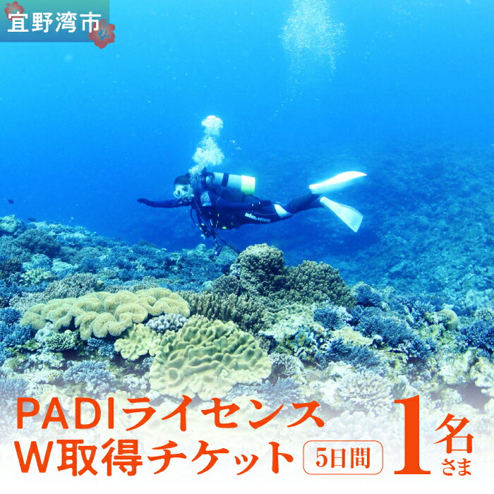 【ふるさと納税】【宜野湾】　PADIライセンスW取得チケット