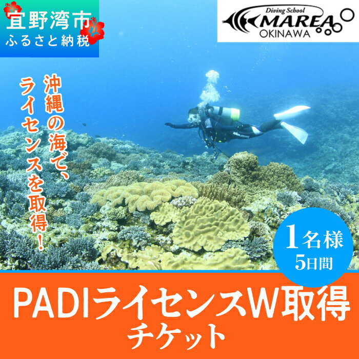 【ふるさと納税】【宜野湾】　PADIライセンスW取得チケット