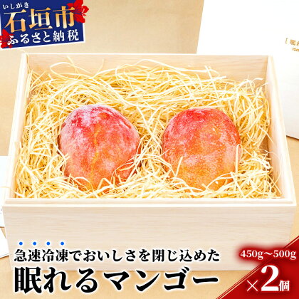 石垣の恵 眠れるマンゴー(450g～500g)2玉 専用箱入 KB-31