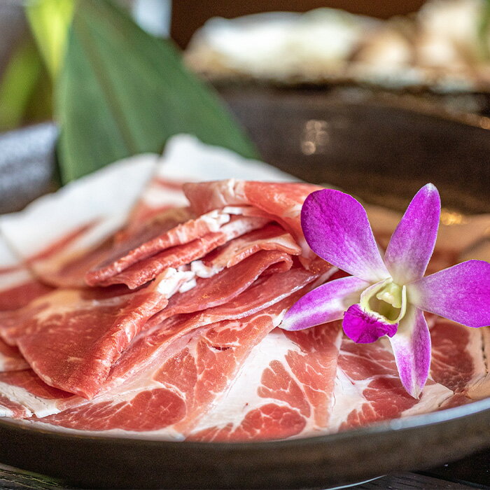 【ふるさと納税】【産地直送】石垣の恵 アグー豚 豚肉ロース薄切り 500g×2パック【合計1kg】KB-33