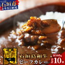 【ふるさと納税】石垣島和牛ビーフカレー 160g×10袋【合