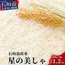 【ふるさと納税】「星の美しゃ」石垣島産 ほしじるし 300g×4袋【合計1.2kg】【美味しいお米をうれしい小分けでお届け】KB-2