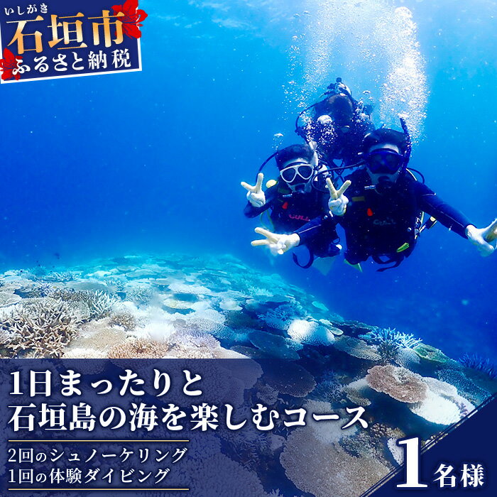 【ライセンス不要。初心者向けです】 初めての方、初心者の方はぜひお任せください！ 1日まったりと石垣島の海を楽しむコースとなります。 ウミガメやニモ、きれいなサンゴに会いに行こう♪ 石垣島や周辺離島で2回のシュノーケリングと1回の体験ダイビングを実施します。 ポイントはその日一番安全な場所を選び、ベテランインストラクターがつきっきりですので、安全に石垣島の海を楽しめます。 日本最大のサンゴ礁が石垣島と西表島に分布しております。色とりどりのお魚とウミガメ、一緒に泳げば大感動間違いなしです！ ウミガメやニモはかなり高確率で会えます。（もちろん会えない日もあります） 体験ダイビングの魅力はなんと言っても、非現実世界感です。 無重力感覚でお魚たちと一緒に泳ぐ経験は、人生でそう何度も経験できるものではありません。 「 自 分 の 呼 吸 し か 聞 こ え な い 世 界 」 を是非味わっていただきたいです。 チャンスがある時に是非チャレンジしてみてください！ ※ウォーターアクティビティでの事故が増えております。 　必ず下記バナーよりご確認ください。 【お店の雰囲気】 お一人様大歓迎！ MOANAダイビングカレッジ石垣島は、お一人様のご参加が多いダイビングスクールです。 お店の雰囲気は「ワイワイ元気ハツラツ！」ではなく、どちらかといえば「まったり石垣島時間を楽しみたい」というお客様に合っております。 【当店の専門性】 当店はダイビングライセンス講習専門の日本最南端ダイビングスクールです。 日々ライセンス講習を開催しているため、安全管理・コーチングレベルが違います。 インストラクター開発も行うためPADIより高水準施設の証である「5★IDダイブリゾート」の認定を受けております。 そのため、発行するカードは全てゴールドカードとなります。 【返礼品提供事業者】 MOANA RESORT株式会社 商品詳細 名称 体験ダイビング1日コース　1名様 内容 1日まったりと石垣島の海を楽しむコースとなります。 石垣島や周辺離島で2回のシュノーケリングと1回の体験ダイビングを実施します。 ※ダイビングに必要な器材レンタル等は全て含まれております。（器材一式、昼食、保険料、ボート乗船料） 安全面や病歴について ※ダイビングの参加当日は気圧変化が伴う飛行機への搭乗は出来ません。 ※未成年のお客様は保護者の方の同意が必要です。 ※事前の病歴書チェックがあります。該当項目がある場合は医師の診断書が必要です。 ※12歳未満・55歳以上のお客様は、安全上、ご予約をお受けすることができません。 ※安全上、妊婦の方のご参加はできません（乗船のみも不可） ※マリンメニュー参加前に飲酒している方はご参加いただけません。 ※心臓・肺・脳などの手術をした事がある、もしくは後遺症のある方はご参加いただけません。 ※現在通院されている方はご参加いただけません。 ※下記の病歴に該当される方は医師の診断書が必要となります。 （糖尿病・高血圧・喘息・アレルギー症状・気胸・気管支炎・閉所、高所広場恐怖症・てんかん・動悸・ 心臓疾患・心臓の発作・狭心症・不整脈・潜水病・減圧症・アルコール依存症・肺炎・脳疾患・肺の病気） 有効期限 発行日より1年間 利用不可期間 使用不可時期は特にありませんが、予約状況により満員の日がございますのでお早めにご確認ください。 必要なもの他 【当日必要なもの】 水着、サンダルはご着用の上ご参加ください。 【必須持ち物】 タオル、ボールペン、ご自身のお飲み物（1L以上推奨） 【あると良いもの】 ソックス（フィンずれ防止）、日焼け止め、酔い止め薬、サングラス、帽子、ラッシュガード ※酔い止め薬は乗船30分前までに内服してください。 ※貴重品等の荷物は自己管理でお願い致します。盗難予防の観点で駐車車両への荷物保管はお勧めしません。スーツケース等大きな荷物のお預かりは事前ご要望があった場合のみご相談に応じます。 注意事項 事業者側よりダイビングについての確認等の連絡をさせていただく場合がございますので、 お申込みの際、備考欄に連絡可能なメールアドレスの記入をお願いいたします。 返礼品申込からご予約までの流れ 申込後、下記メールアドレスから【ふるさと納税】と記載し予約をお願いいたします。 申込前でも予約状況の確認やご相談など、お気軽にメールくださいませ。 ※利用券（紙券）の発行はございません。下記事業者メールアドレスよりご予約くださいますようお願いいたします。 MOANA RESORT株式会社 メール:reception@moana-ishigaki.jp入金確認後、注文内容確認画面の【注文者情報】に記載の住所にお送りいたします。 発送の時期は、寄付確認後翌月以内を目途に、お礼の特産品とは別にお送りいたします。