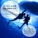 【ふるさと納税】 石垣島 で 体験ダイビング 1日コース MO-1 2